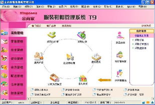 金商家T9服裝軟件 財(cái)務(wù)與行業(yè)管理ERP產(chǎn)品市場(chǎng)調(diào)查分析