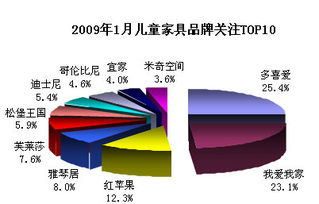2009年1月家具市場(chǎng)品牌口碑調(diào)查研究報(bào)告