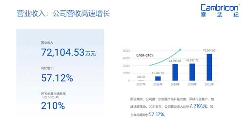 深耕行業(yè)客戶，寒武紀(jì)加速場(chǎng)景落地的軟件開發(fā)新策略
